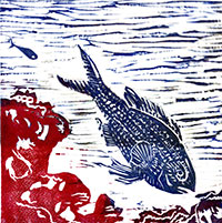Poissons de méditerranée