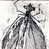 Page d'herbier